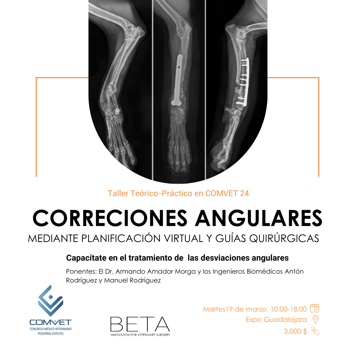 TALLER COMVET24 - Correcciones Angulares (1200 x 1200 px)