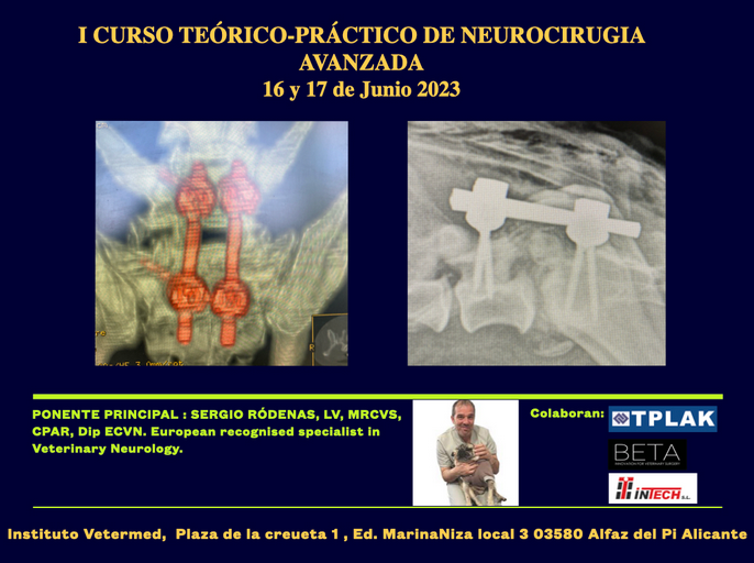 Cartel I Curso Neurocirugía Avanzada 23